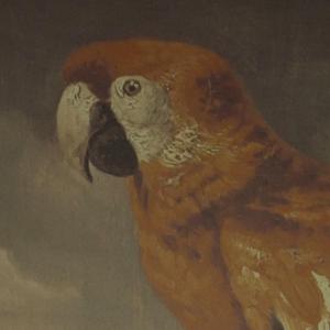 麻豆男上司日屄
